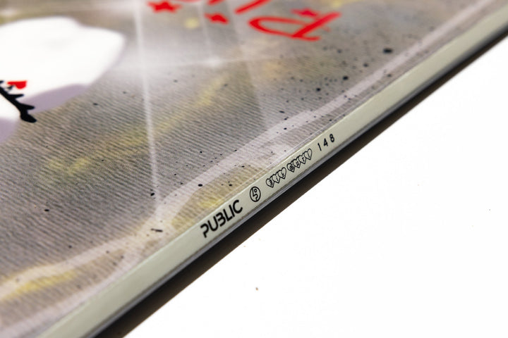 Public X Jibgurl Women's Snowboard