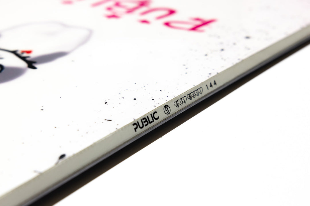 Public X Jibgurl Women's Snowboard